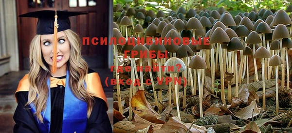 jwh Новокубанск