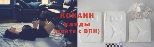 бошки Новозыбков