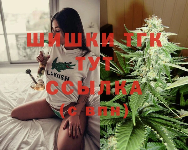 молекула духа Новодвинск