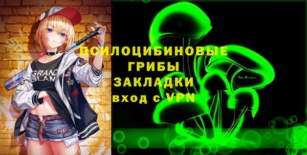 молекула духа Новодвинск