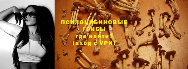 бошки Новозыбков