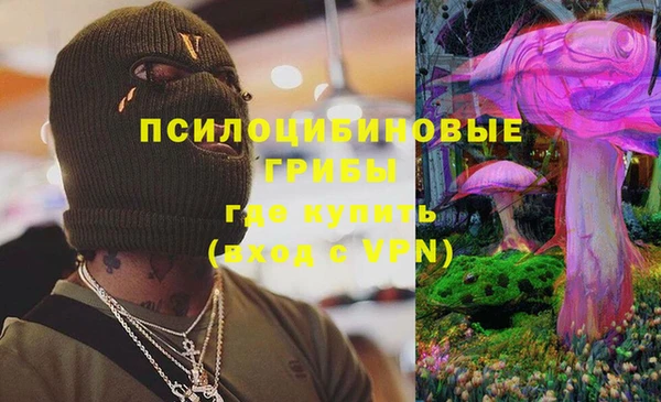 бошки Новозыбков