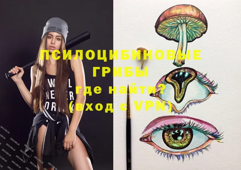 Псилоцибиновые грибы Psilocybine cubensis  Кодинск 