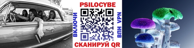 Псилоцибиновые грибы Psilocybe  нарко площадка телеграм  Кодинск  где купить наркотик  MEGA как зайти 
